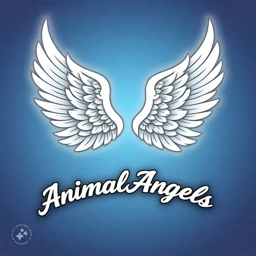 Animal Angels