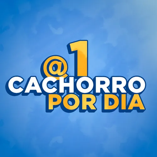 1 Cachorro por Dia