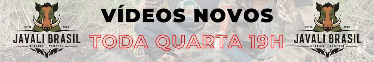 Javali Brasil