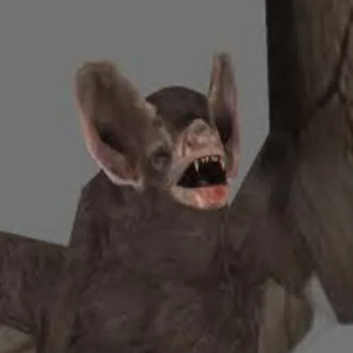 demonflyingfox