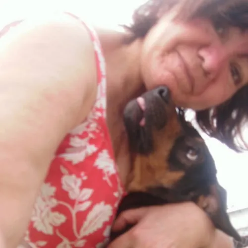 Minha Vida se resume a eles. Os Animais. 