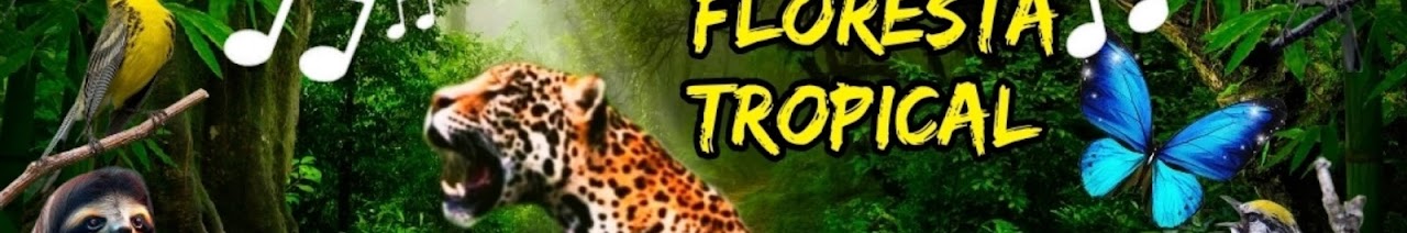 DESCOBRINDO ANIMAIS PT